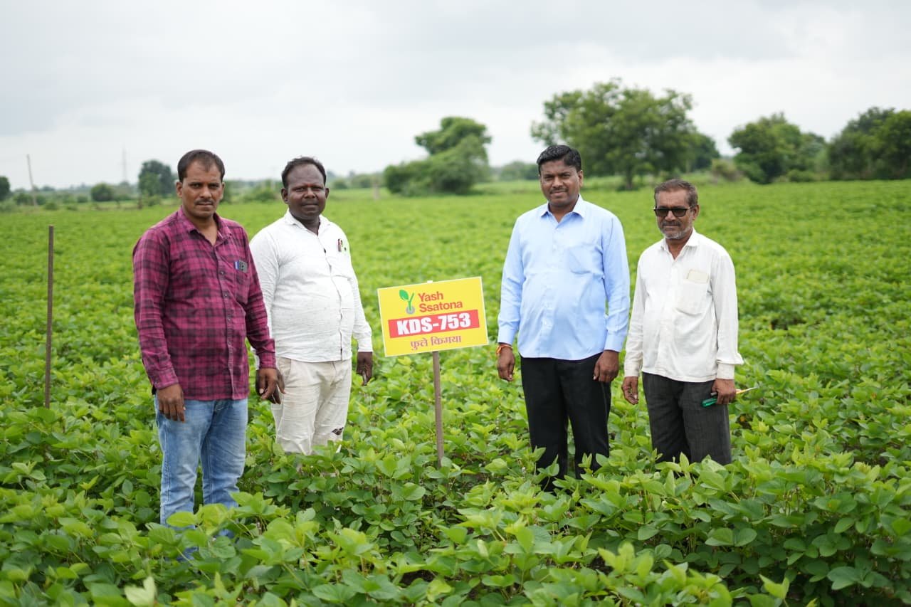 Seeds gallery image 12