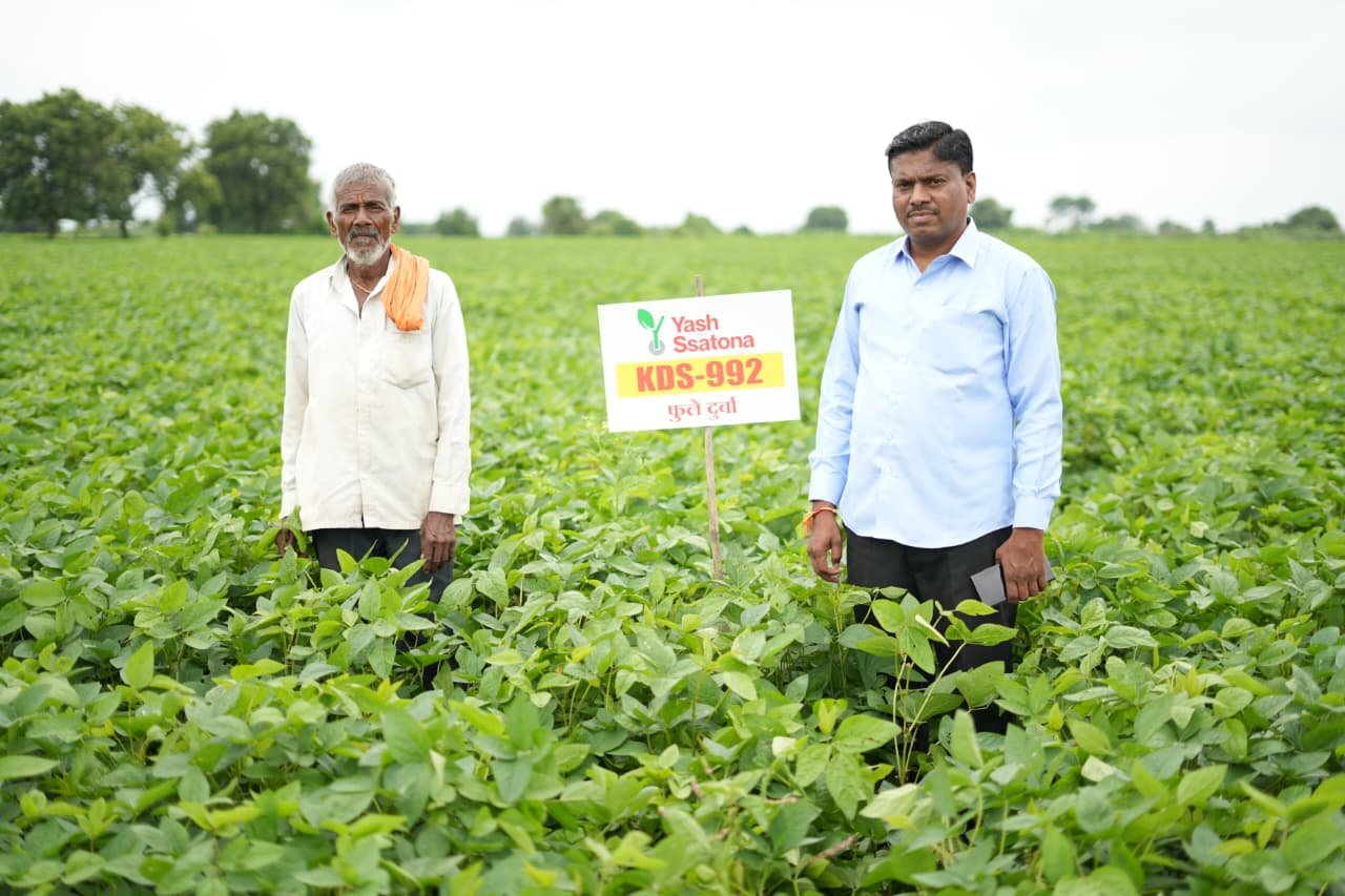 Seeds gallery image 15