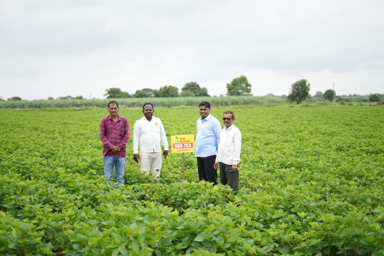 Seeds gallery image 17